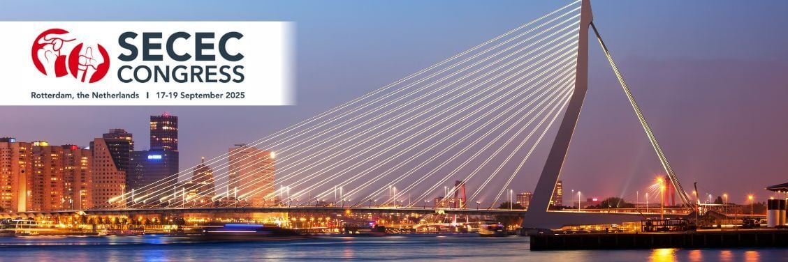 Banner Newsletter_secec