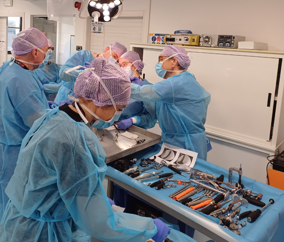 SkillsLAB in Verona